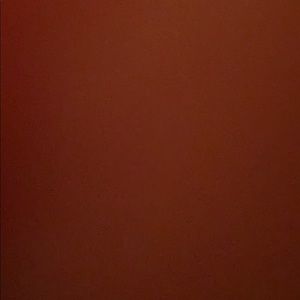 Meet your Posher, Delaney